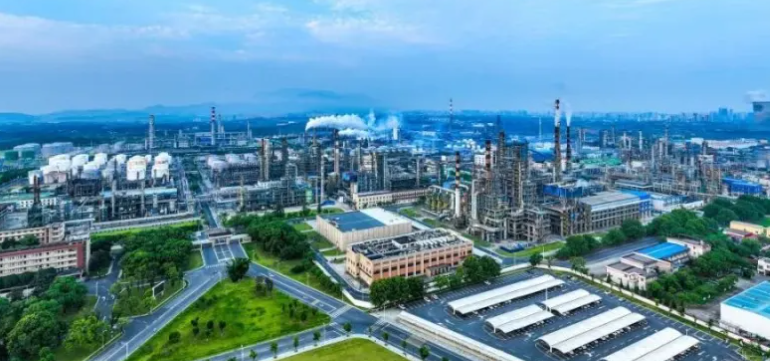 2024年上海市嘉定区徐行镇眼镜零售市场价格走势与配镜预算参考